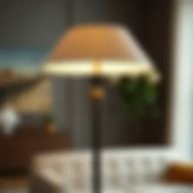 Magnificent A Comprehensive Guide to Torchiere Floor Lamp Shade Replacement
