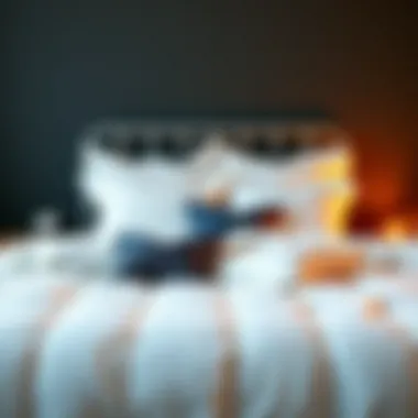 Magnificent Exploring Solid Twin Comforter Sets