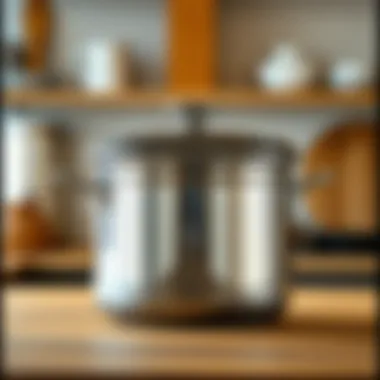 Magnificent Exploring the Versatility and Craftsmanship of Stainless Steel Stock Pots with Lids Magnificent Exploring the Versatility and Craftsmanship of Stainless Steel Stock Pots with Lids