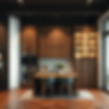 Magnificent Innovative Room Divider Ideas for Kitchens