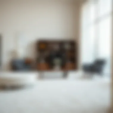 Magnificent The Elegance of Fluffy Carpets: A Comprehensive Exploration