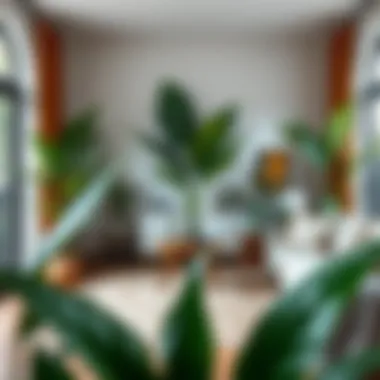 Magnificent The Multifaceted Role of Big Plastic Plants in Contemporary Interior Design