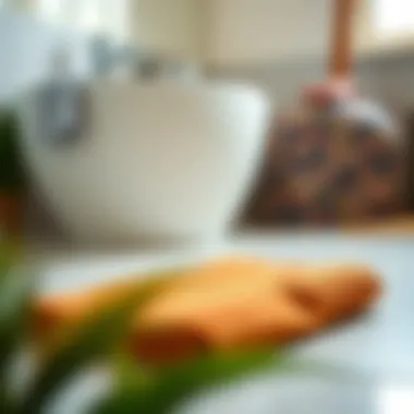 Magnificent The Practicality and Aesthetics of Bathroom Foot Towels