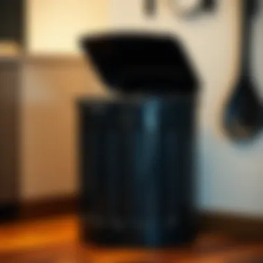 Magnificent The Role of Black Garbage Cans in Kitchen Design and Utility Magnificent The Role of Black Garbage Cans in Kitchen Design and Utility