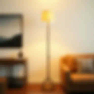Notable A Comprehensive Guide to Torchiere Floor Lamp Shade Replacement