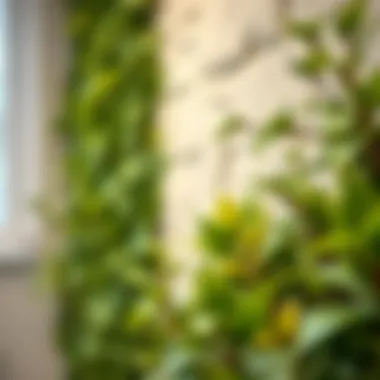 Close-up of high-quality materials used in artificial wall plants