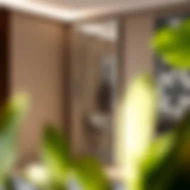 Artistic full length mirror door showcasing unique design