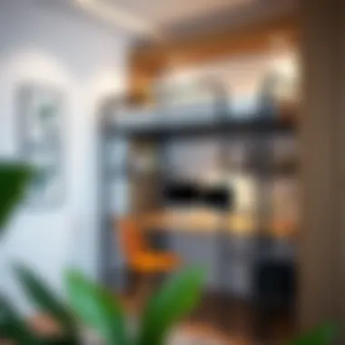 Efficiency in Compact Living: Bunk Bed and Workspace Compact space showcasing multifunctional bunk bed and workspace