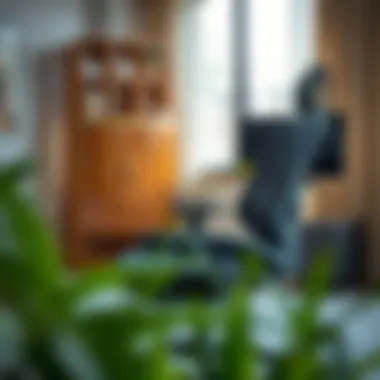 An ergonomic office chair showcasing lumbar support and adjustable features