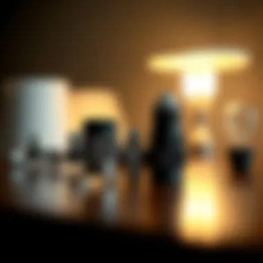 Variety of Lamp Socket Types Different types of lamp sockets