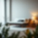 Elegant futon bed showcasing minimalist design