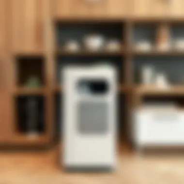 Versatile Design Options for Pull Out Trash Cabinets Unique design variations of pull out trash cabinets showcasing versatility