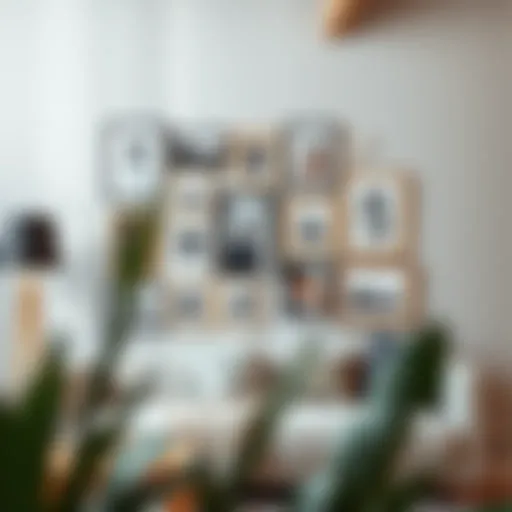 Elegant Arrangement of a 13 Photo Collage Frame Elegant arrangement of a 13 photo collage frame on a modern wall