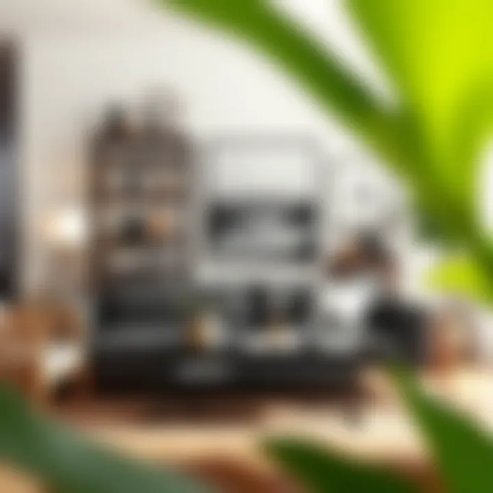 Trendy Home Decor Ideas Trendy home decor ideas featuring budget-friendly furniture