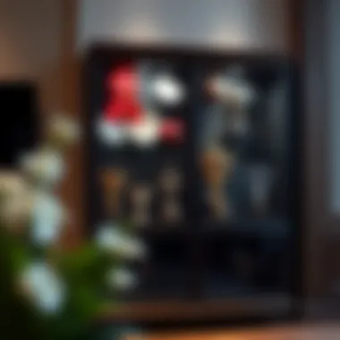 Customized Trophy Case with Various Awards Customized trophy case with various awards