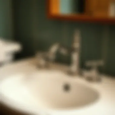 Vintage Bathroom Sink and Faucet Pairing Stylish vintage bathroom faucet paired with a classic sink