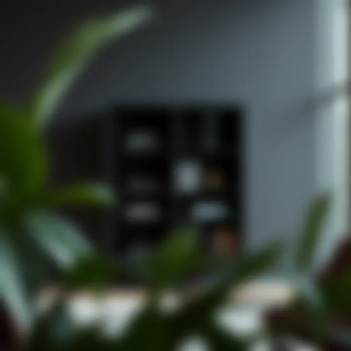 Exploring Black Cube Storage: Depths of Functionality and Design Summary