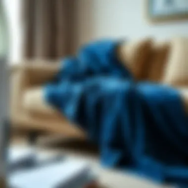 Elegant Blue Throw on Couch Elegant blue throw draped over a luxurious couch