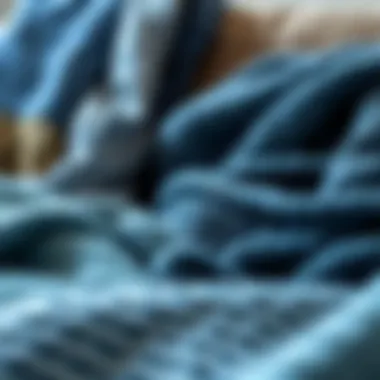 Diverse Textures and Patterns of Blue Throws Variety of blue throws showcasing different textures and patterns