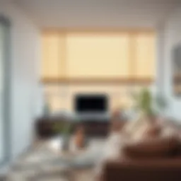 Elegant cordless roller blind in a modern living room