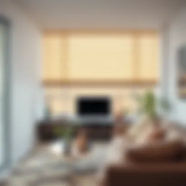 Sophisticated Design of Cordless Roller Blinds Elegant cordless roller blind in a modern living room