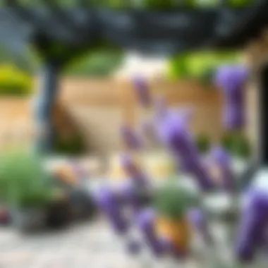 An outdoor patio enhanced by faux lavender plants for decor.