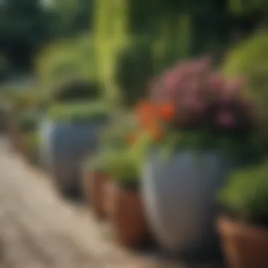 A beautifully arranged garden featuring various planters