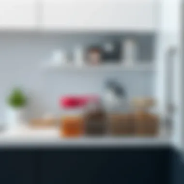 Innovative spice racks for optimized space