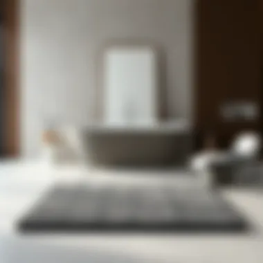 Exploring Large Grey Bath Mats: A Comprehensive Analysis Summary Exploring Large Grey Bath Mats: A Comprehensive Analysis Summary