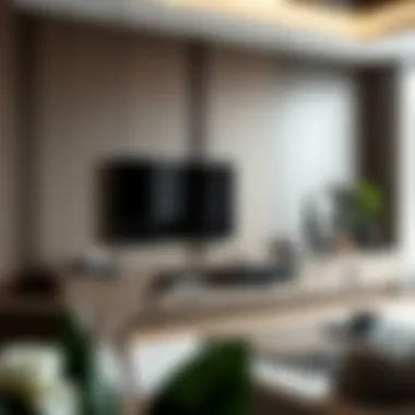 Functional storage solutions in a large TV unit
