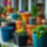 Diverse Styles of Plastic Planters Vibrant selection of plastic planters in various styles