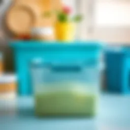 Stylish plastic storage container with a handle