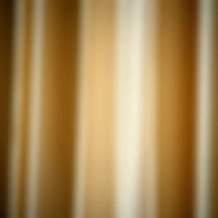 Close-up of luxurious fabric choices for lined drapes