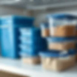 Exploring Rubbermaid Pantry Containers: A Comprehensive Guide Introduction