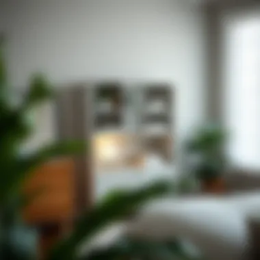 Exploring Small Shelves with Doors: A Comprehensive Guide Summary