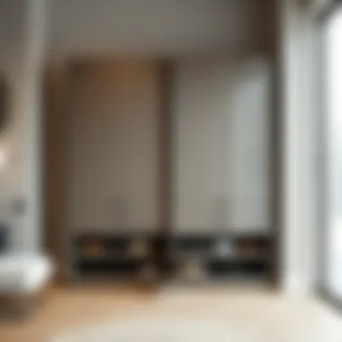 Elegant Ställ shoe cabinet showcasing minimalist design