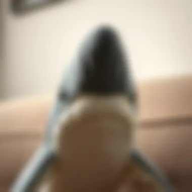 Close-up of a plush stuffed shark showcasing intricate detailing and design