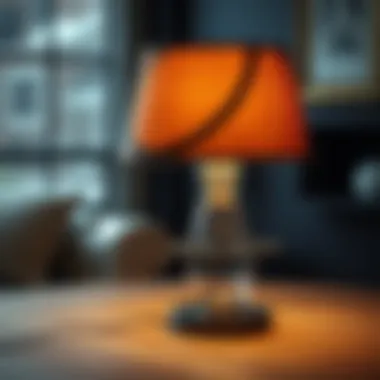 Customizable lamp shade with unique artistic design