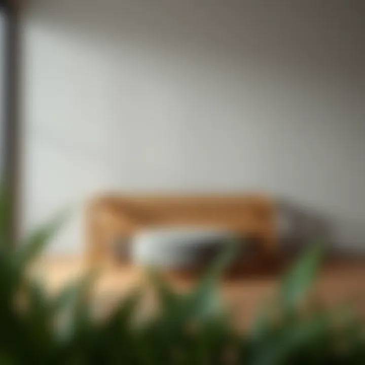 Exploring the Concept of the Fake Wood Bench Summary
