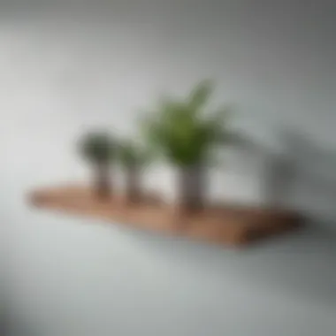 Floating Shelf Adorned with Decorative Plants Floating shelf with decorative plants