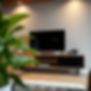 Exploring the Functional Elegance of TV Stands with Wheels Summary