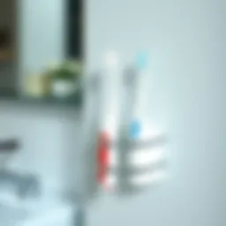 Exploring the Functionality and Design of Mounted Toothbrush Holders Introduction