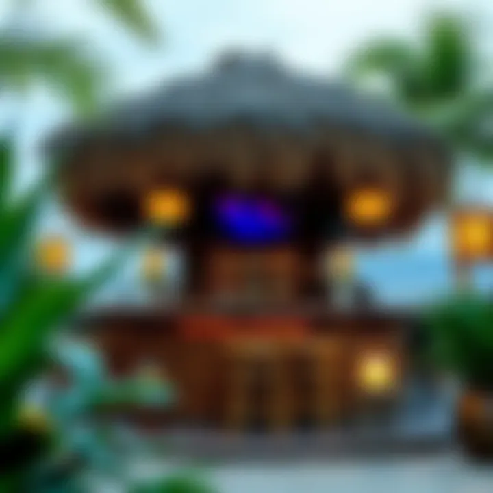 Exploring the Market for Used Tiki Bars Summary