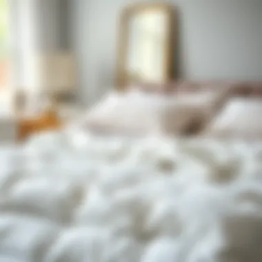 Diverse Duvet Materials Variety of queen size duvet materials displayed