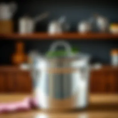 Exploring the Versatility and Craftsmanship of Stainless Steel Stock Pots with Lids Summary Exploring the Versatility and Craftsmanship of Stainless Steel Stock Pots with Lids Summary