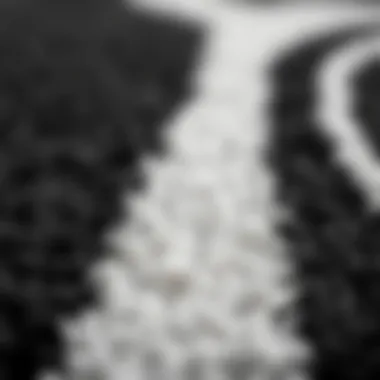 Texture Detail of Waterproof Rug Close-up of the texture of a black and white waterproof rug
