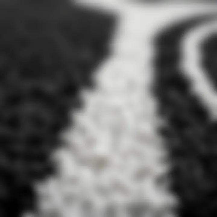 Texture Detail of Waterproof Rug Close-up of the texture of a black and white waterproof rug