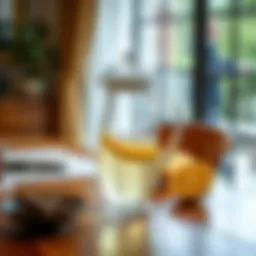 Elegant glass juice pitcher with lid on a dining table