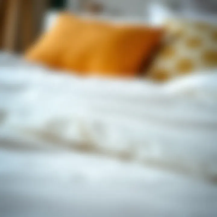 A close-up of luxurious fabric used in quilt duvet covers