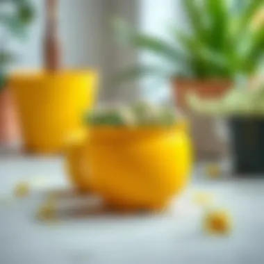 Eco-friendly aspects of yellow plastic flower pots in sustainability